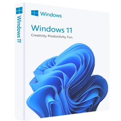 Windows 11 Pro Lite 22000-100